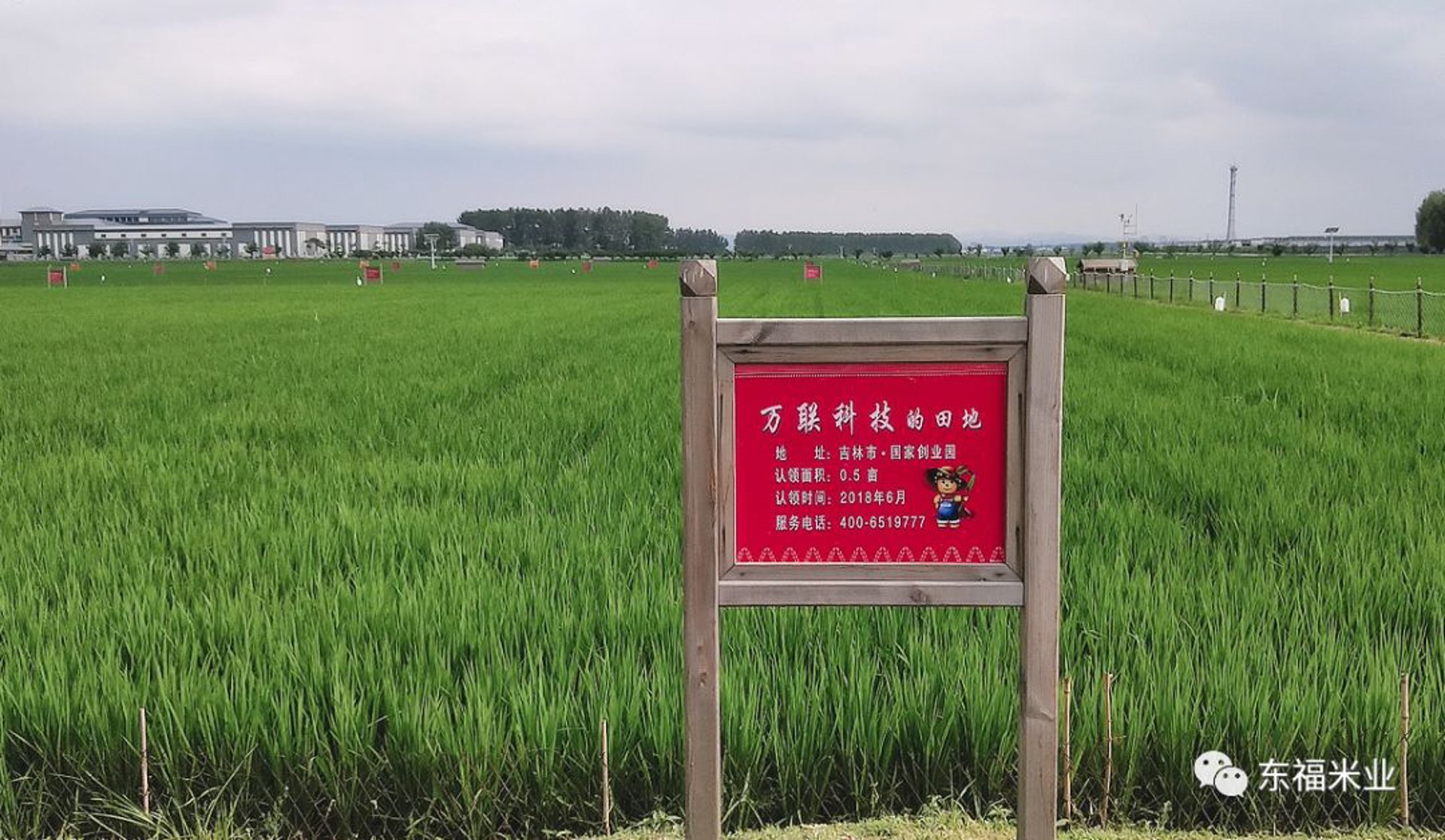 东福米业